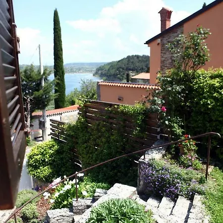 Greenview * Piran